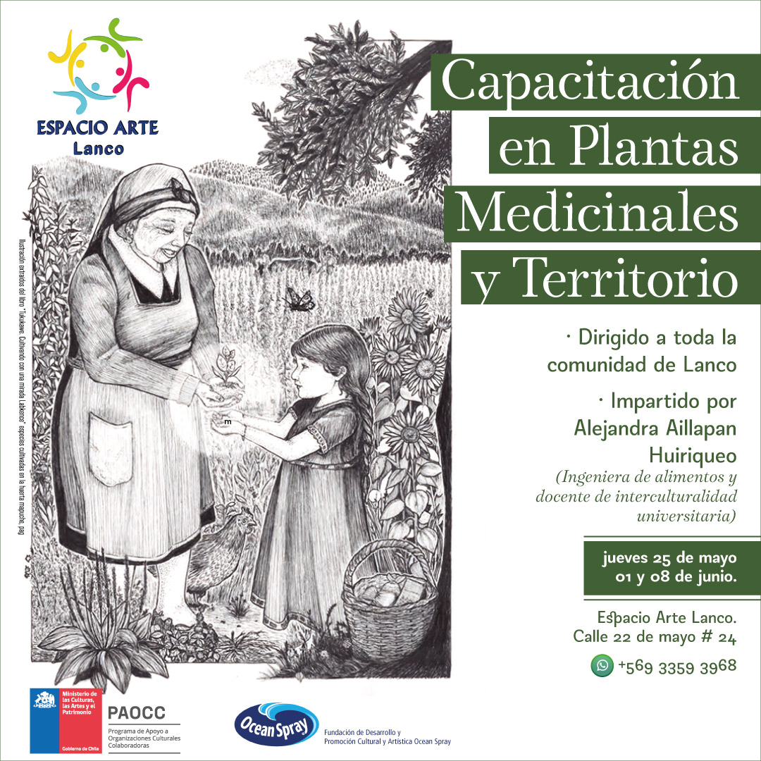 Mesa-de-trabajo-1-100-1